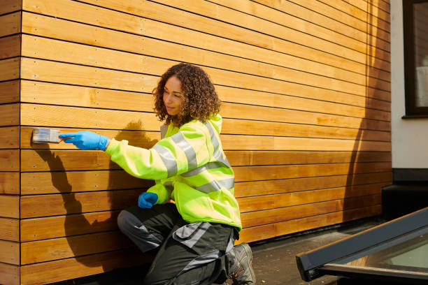 Professional Siding in Lavonia, GA